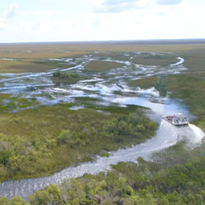 Everglades Safari Park in Miami