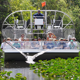 Everglades Cruise in Miami
