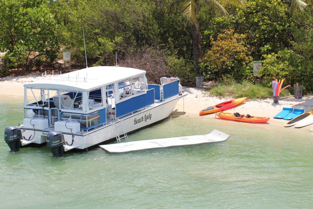 catamaran beached up on a shoreline
