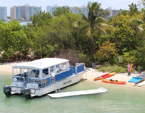 beach lady docked on a shoreline
