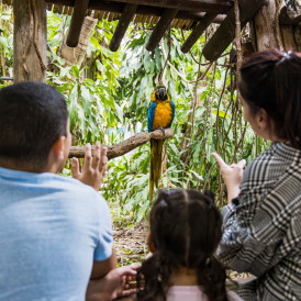 JungleIsland--36 (6)