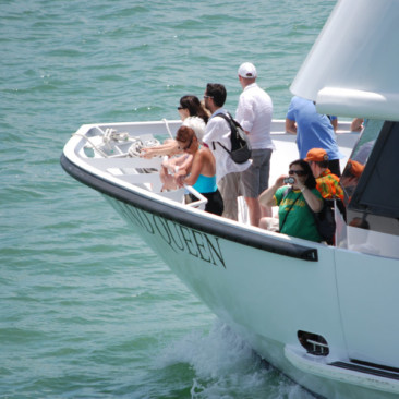 Enjoy the Millionaire's Row Cruise in Miami