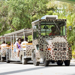 Zoo Miami in Florida